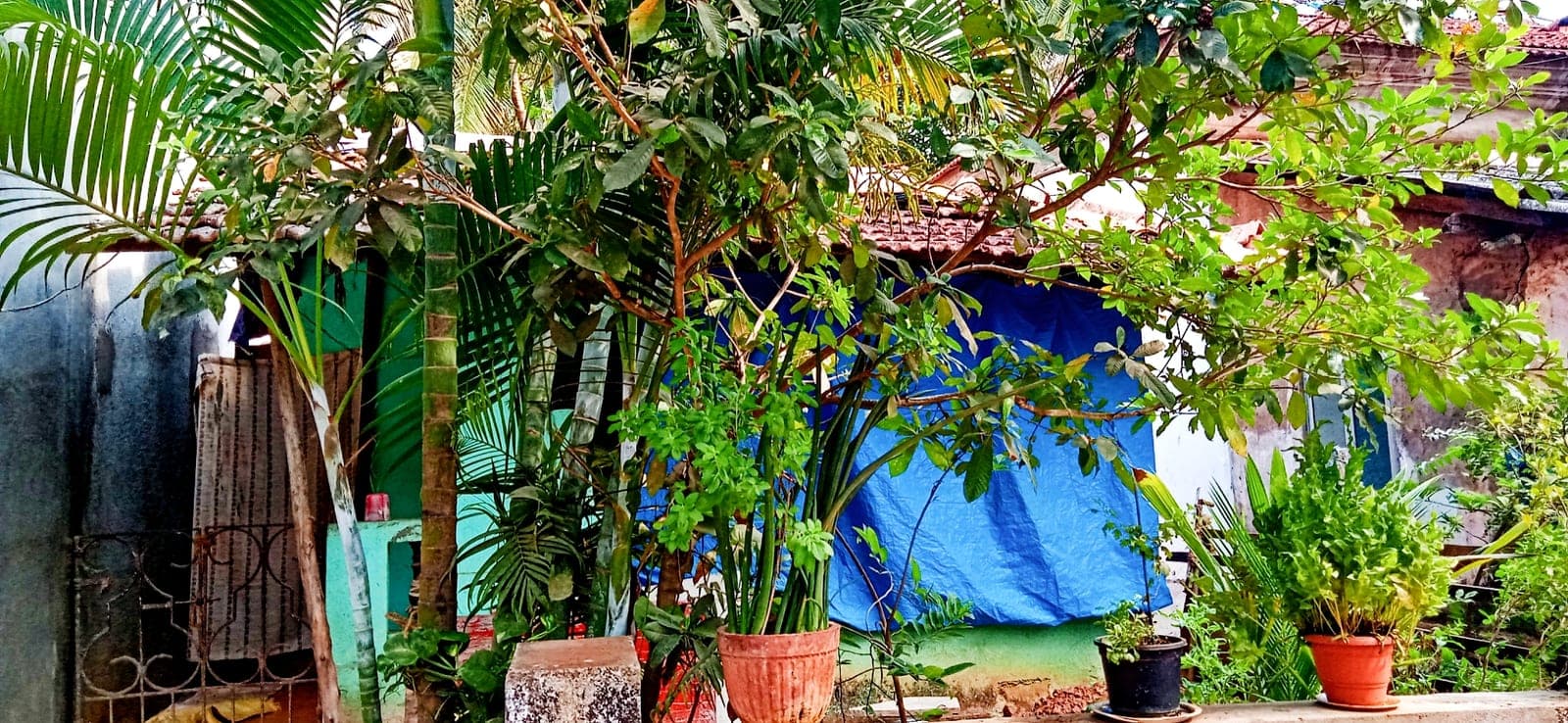 The True Cost of Owning a Holiday Home in Goa: Beyond the Purchase Price