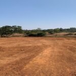 WhatsApp Image 2025-12-17 at 7.58.20 PM (1)