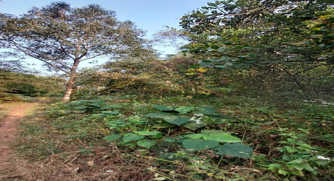 WhatsApp Image 2026-01-02 at 2.47.34 PM