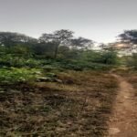 WhatsApp Image 2026-01-02 at 2.47.35 PM