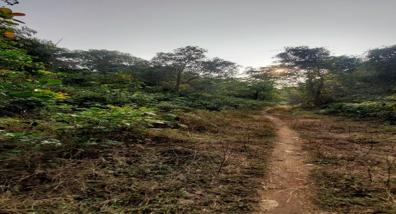 WhatsApp Image 2026-01-02 at 2.47.35 PM